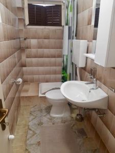 VrbanjにあるApartments by the sea Basina, Hvar - 24120のトイレと洗面台付きのバスルーム