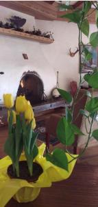Istumisnurk majutusasutuses Hotel Gasthof Gramshammer