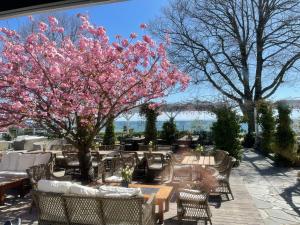 a patio with tables and a tree with pink flowers at 2 person holiday home in BORRBY in Borrby +16 photos