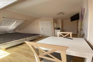 TV a/nebo společenská místnost v ubytování Apartment in Mi dzywodzie near Baltic Beaches