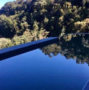 an aerial view of a body of water with trees at Carpe Diem Boutique - Piscina Aquecida in Campos do Jordão