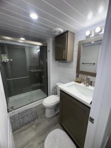 a bathroom with a toilet and a shower and a sink at Guitars & Tiki Bars, Roadrunner Resort in Parker +5 photos