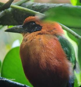 San CarlosにあるCamping para experiencias únicasのギャラリーの写真