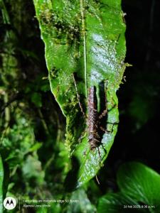 San CarlosにあるCamping para experiencias únicasのギャラリーの写真