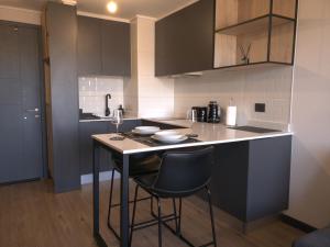 Dapur atau dapur kecil di Apart VIP Temuco - Edificio Vertice