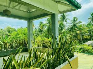 a view from the porch of a house with plants at Miracle Garden Natural Villa & Restaurant in Sinigama