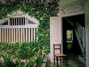 a chair sitting in front of a door with ivy at Miracle Garden Natural Villa & Restaurant in Sinigama +24 photos