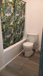 a bathroom with a toilet and a shower curtain at House in Malvern, AR in Malvern