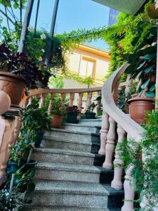 Zahrada ubytování Gegas hotel + 22 fotografií