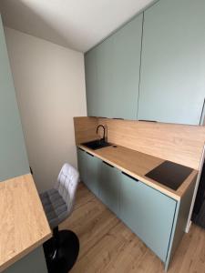 Η κουζίνα ή μικρή κουζίνα στο Central Apartment Kriva 18