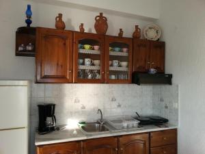 Kuchyň nebo kuchyňský kout v ubytování Panormitis house at Skalia + 2 fotografie