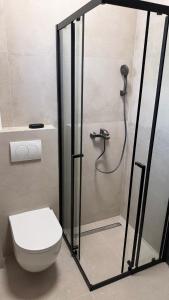 a bathroom with a shower with a toilet in it at Villa Jadro in Zadar +36 photos