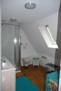 a bathroom with a toilet and a shower and a sink at La ferme du Liaumiers in Saint-Cirgues-de-Jordanne +37 photos