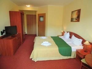 a hotel room with a bed and a television at Villa Sylvia in Dźwirzyno