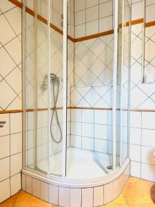 a shower with a glass door in a bathroom at Galerie-Dachstudio- Ruhig & kompakt-Waschmaschine- WLAN- Parkplatz in Wolfsburg