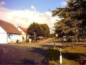 a street in a village with a house and trees at Appartement In Meiersberg Mit Grill in Grambin +8 photos