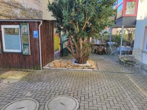 Fotografie z fotogalerie ubytování Eulennest Nassau v destinaci Weikersheim