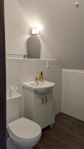 a white bathroom with a toilet and a sink at Sosnowa Polana Białowieża in Białowieża +25 photos