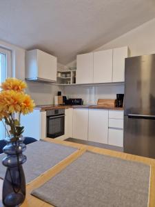 Kuchyňa alebo kuchynka v ubytovaní Apartment Hramina