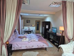 a bedroom with a bed and a television in it at Ava Studio in Cisnădie