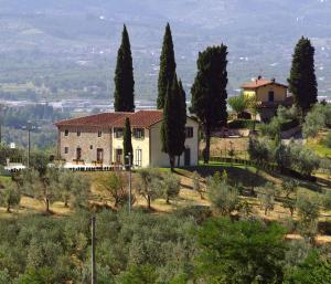 uma casa no topo de uma colina com árvores em Poggio Desto Bed & Breakfast em Quarrata