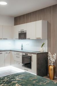 Kuchyň nebo kuchyňský kout v ubytování Vltavín Relax Apartments
