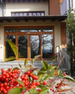 Zahrada ubytování Hotel mariuccia