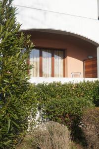 Zahrada ubytování Hotel mariuccia