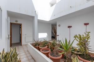 Vonkajšia záhrada v ubytovaní Central Bright Studio