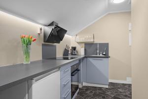Η κουζίνα ή μικρή κουζίνα στο Sentral 1BR i Porsgrunn - P Apartments
