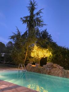 Basen w obiekcie Villa Familiale piscine, spa, entre Cannes et Nice lub w pobliżu