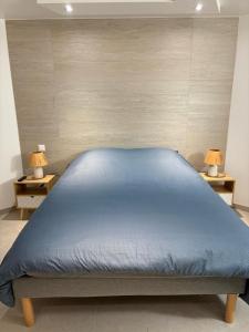 a bedroom with a blue bed with two lamps at Chez manu in Voellerdingen