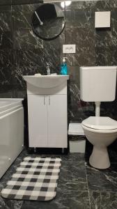 a bathroom with a sink and a toilet and a mirror at Apartman Dve lipe in Palić +31 photos