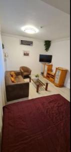 a living room with a couch and a chair at Rooftop Panorama Apartment in Budapest