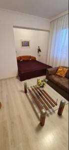 a living room with a bed and a couch at Rooftop Panorama Apartment in Budapest