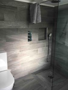 a bathroom with a toilet and a glass shower at Ballintoy old school house in Ballintoy