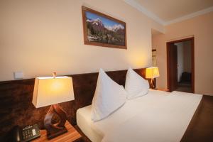 Voodi või voodid majutusasutuse Hotel Solisko toas