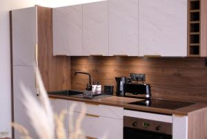 a kitchen with a sink and a coffee maker on a counter at La Virgule - Dole centre - Wifi - Calme in Dole