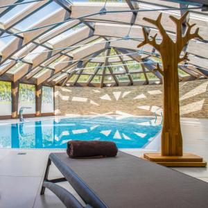 Bazén v ubytování Amenity Hotel & Resort Orlické hory nebo v jeho okolí
