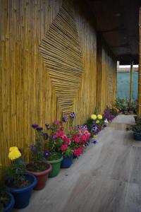 a row of potted flowers on a wooden walkway at Tarapith Tapabon Eco Resort in Tarapith