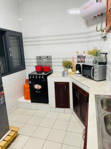 Η κουζίνα ή μικρή κουζίνα στο Appart F3 haut standing Riviera