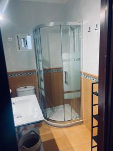 a glass shower in a bathroom with a sink at Las Fadrique in Córdoba