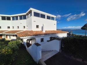 Природа в окрестностях апартаментов/квартиры