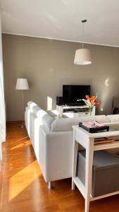 Televízia a/alebo spoločenská miestnosť v ubytovaní Mercury two-bedroom apartment & parking