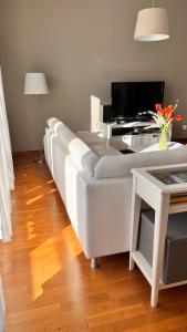 Televízia a/alebo spoločenská miestnosť v ubytovaní Mercury two-bedroom apartment & parking