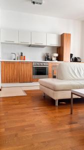Kuchyňa alebo kuchynka v ubytovaní Mercury two-bedroom apartment & parking