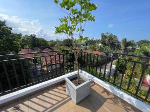 a balcony with a tree in a planter on it at NN Stayz in Negombo