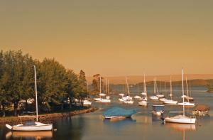 a group of boats are docked in a harbor at NH Córdoba Panorama in Córdoba
