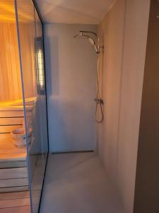 a shower with a glass door in a bathroom at Holiday home Baron in Radeče +36 photos