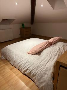 Katil atau katil-katil dalam bilik di Bel appartement avec wifi à Noyarey +2 gambar